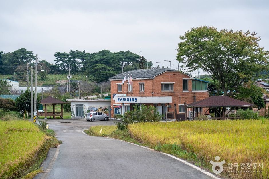 서산시_서산 회포마을 (7)