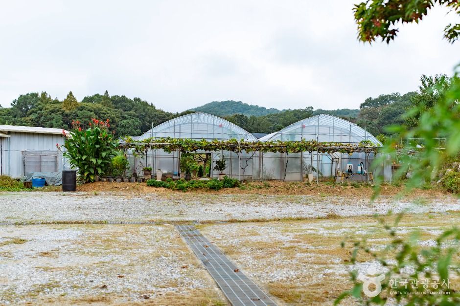 thumbnail-꾀꼴성마을-5