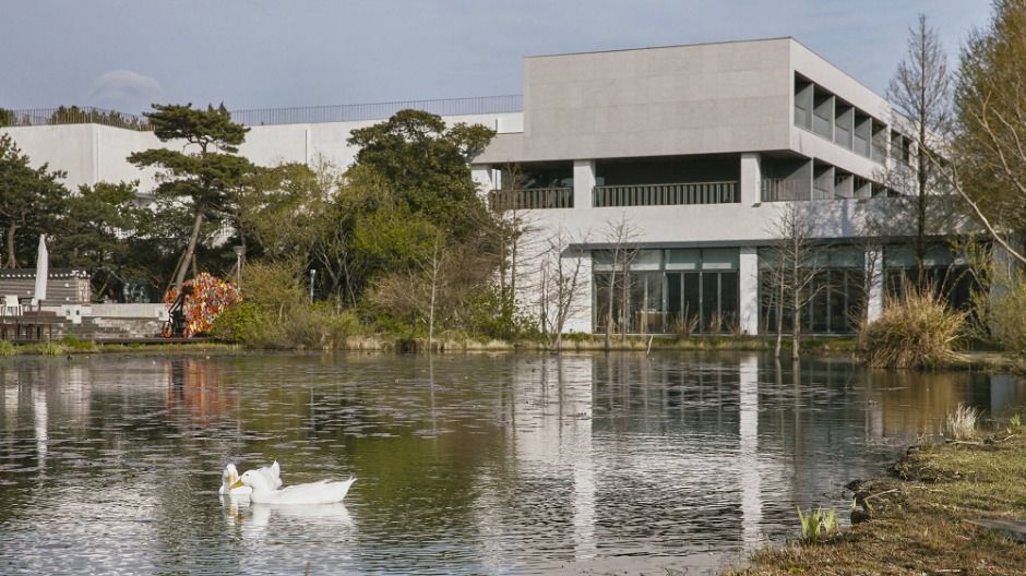 제주_디아넥스호텔 (6)