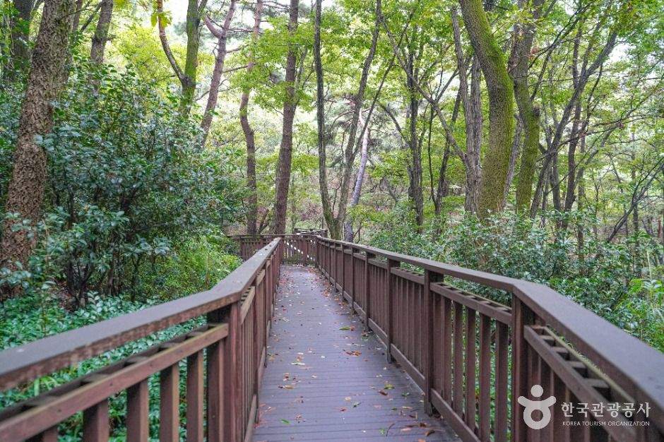 백양산 웰빙숲