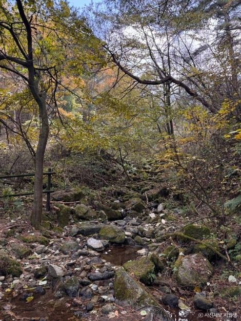 원주_[치악산 둘레길 1코스] 꽃밭머리길_ⓒ 사진제보 시월생 (1)