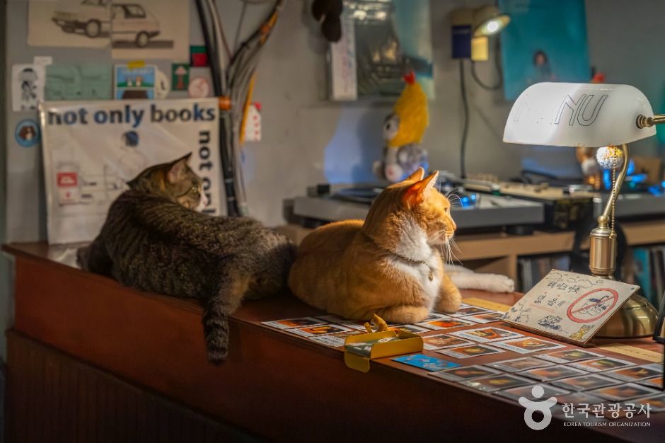 대구_심플책방 (5)