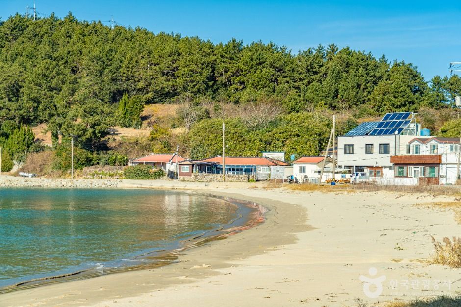 완도_지리청송해변 (8)