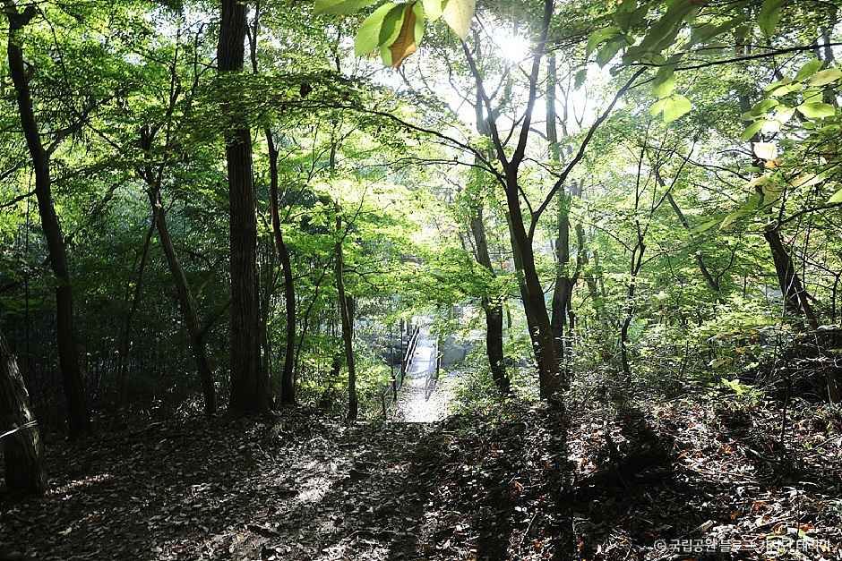 thumbnail-관음봉-1