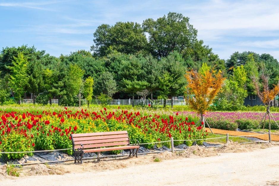 thumbnail-Nari Farm (나리농원)-11