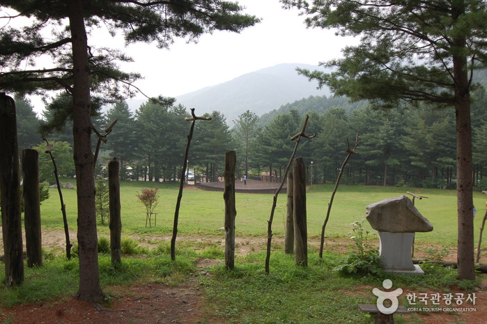 국립청태산자연휴양림 이미지