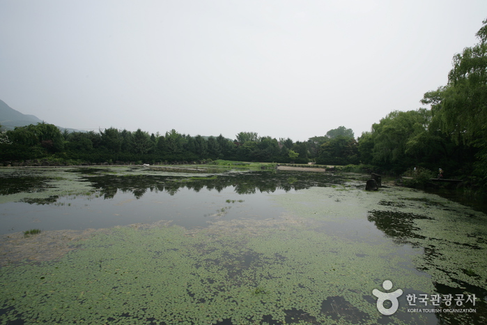 The Botanical Garden BCJ (Byeokchoji) (벽초지 문화수목원)