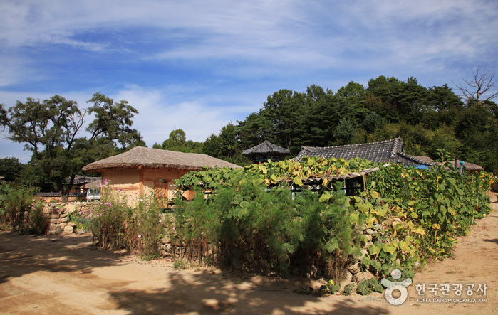 Yeongju Museom Village (영주 무섬마을)
