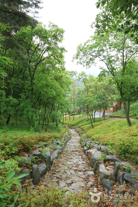 Songjeong Natural Recreation Forest (송정자연휴양림)