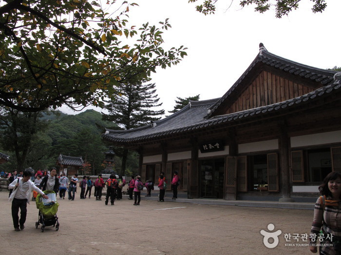 Sinheungsa Temple (Seoraksan) (신흥사(설악산)