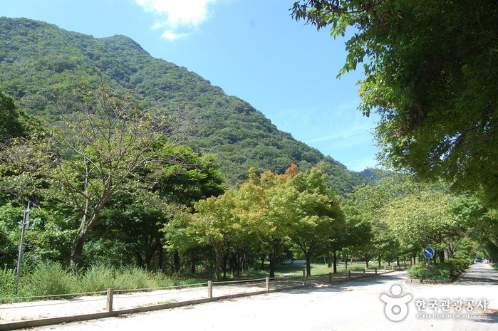 내장산국립공원 사진25