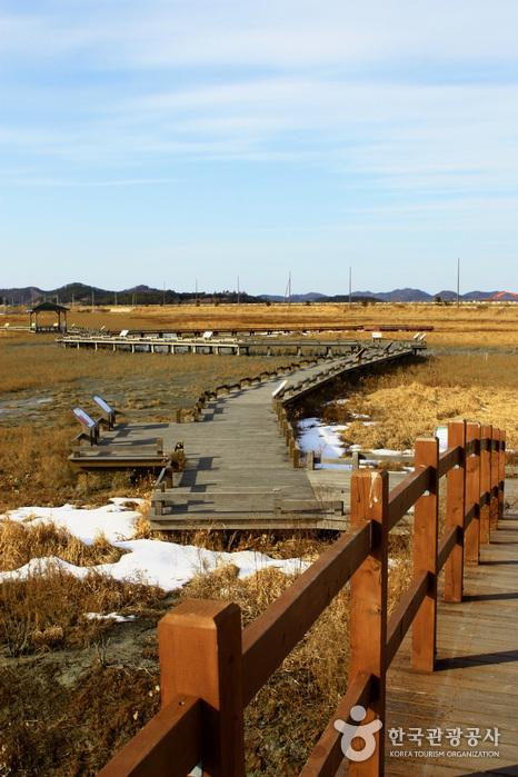 Jeungdo Island [A Slow City](증도)