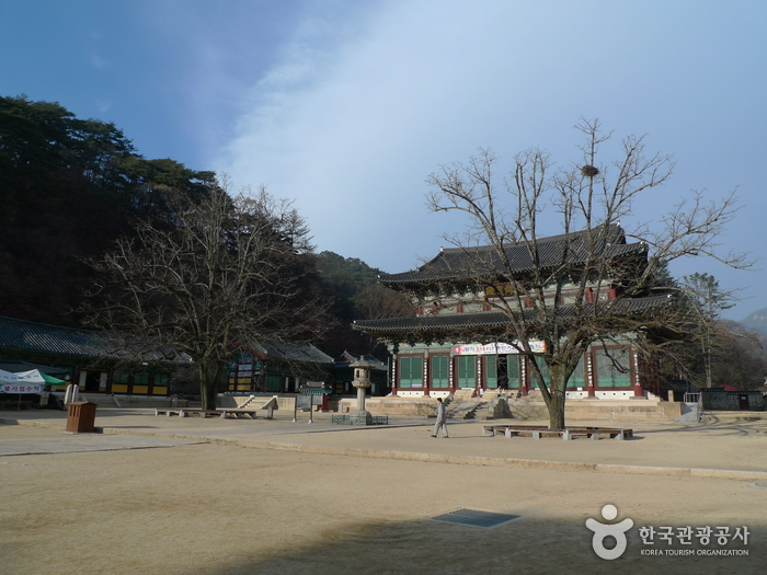 보은 법주사 사진18