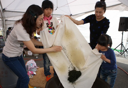 Boseong Green Tea Festival (보성 다향제)
