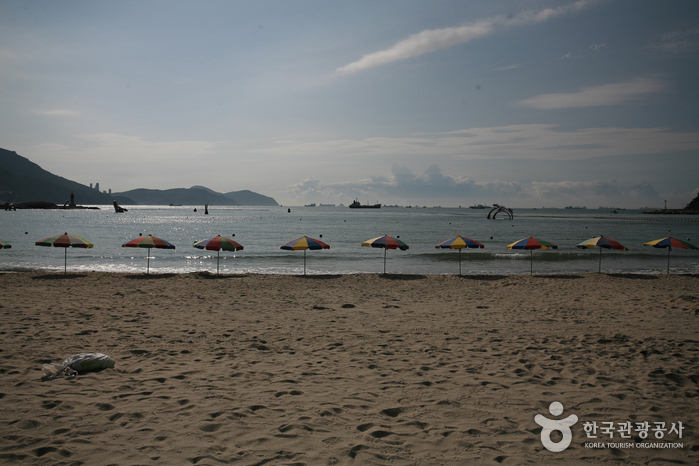 Busan Songdo Beach (부산 송도해수욕장)