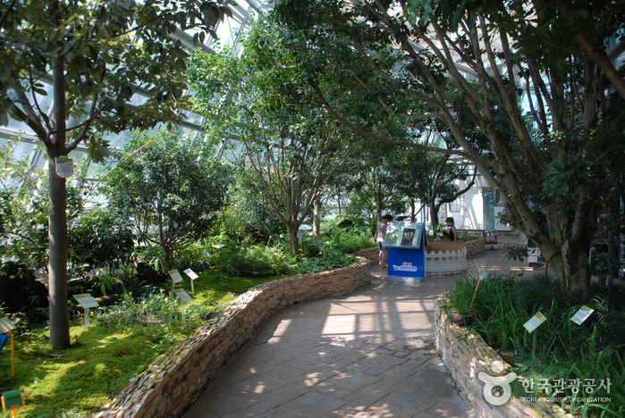 National Science Museum (국립중앙과학관)