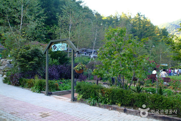 Herbnara Farm (허브나라농...