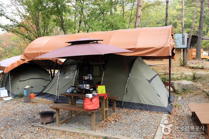 캠핑 분위기가 물씬 느껴지는 일반 텐트