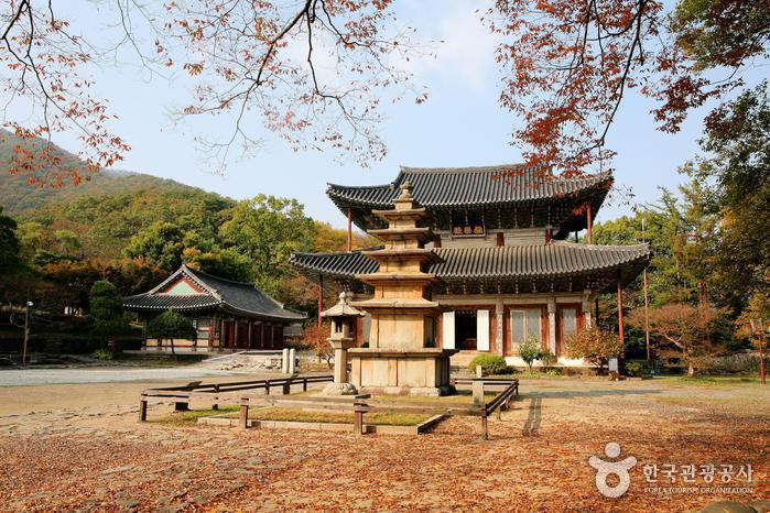 Buyeo Muryangsa Temple (무량사(부여))