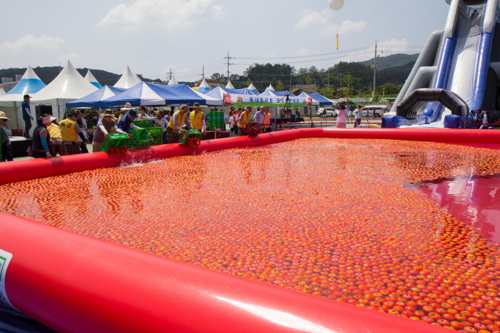 둔내고랭지토마토축제 2017 사진5