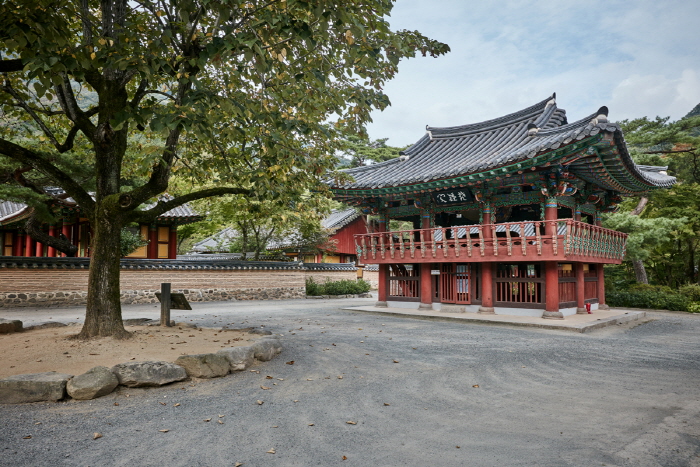 Temple Baegyangsa (고불총림 백양사)