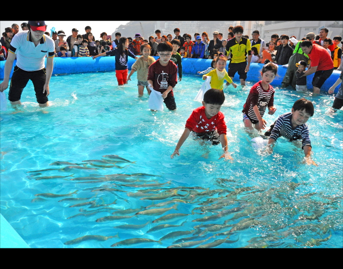 부산고등어축제2