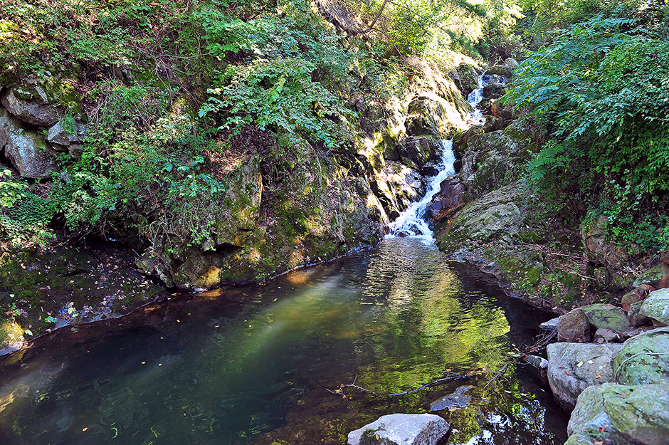 아프리카갤러리캠핑장0