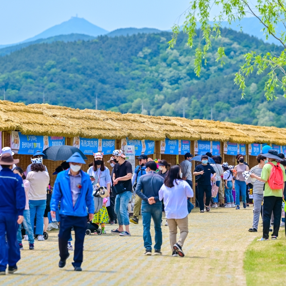 Goryeong Daegaya Festival (고령대가야축제)