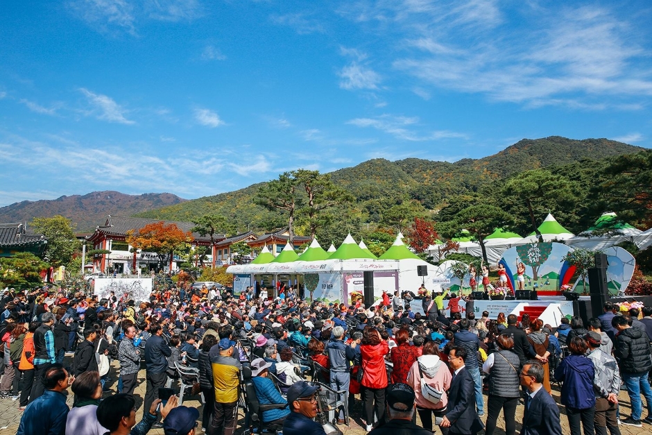 영주장날 농특산물대축제