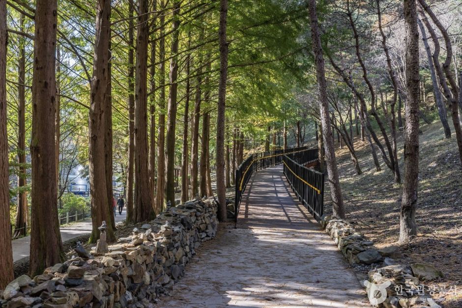 米东山树木园（미동산수목원）