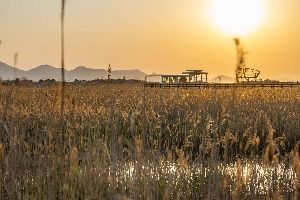 부산_다대포해수욕장 (2)