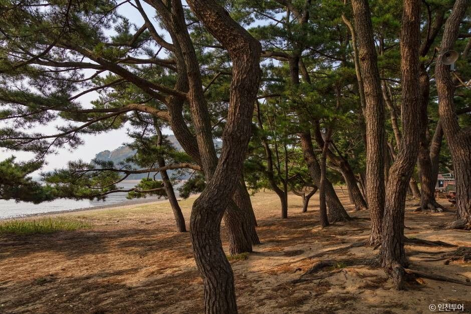 장봉도 진촌해변