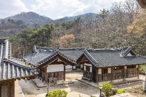 순천_순천전통야생차체험관 (6)