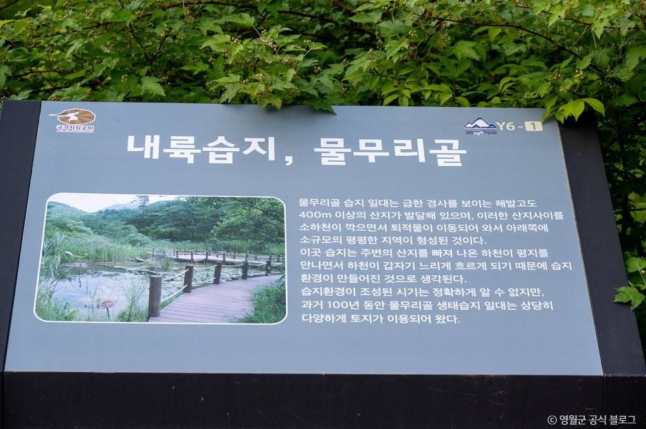 thumbnail-물무리골생태습지-29