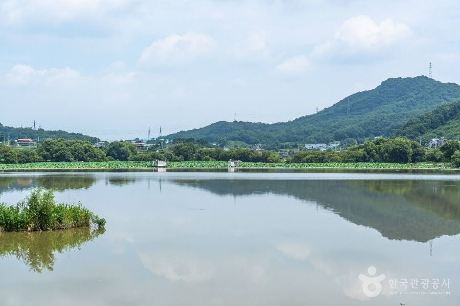 월랑저수지