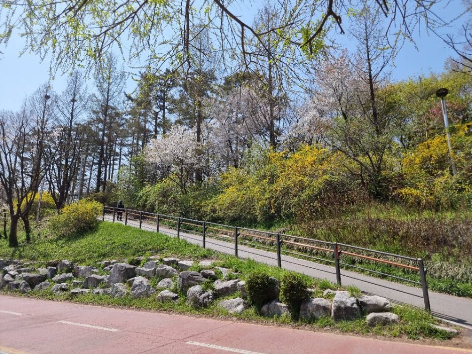 [서울둘레길 15코스] 노을·하늘공원코스