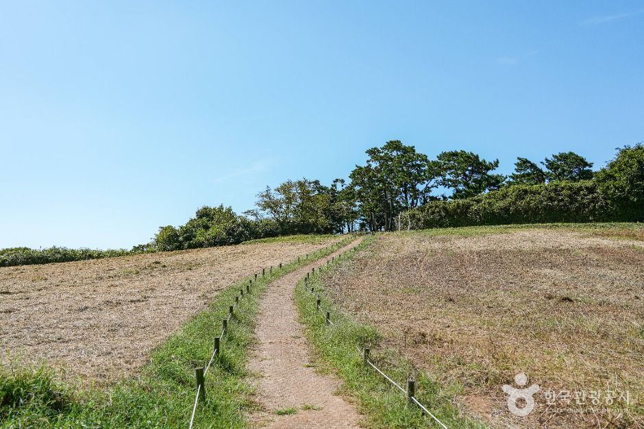 수성당