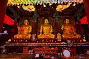 서울_조계사(서울) (6)