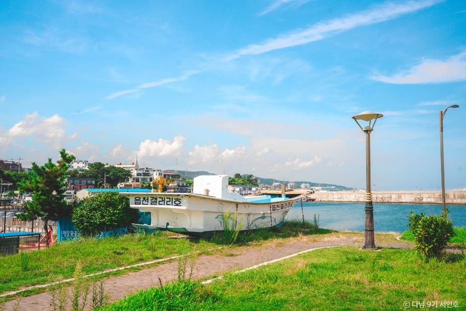 경주 바다 여행 가볼만한곳_읍천항_3-1