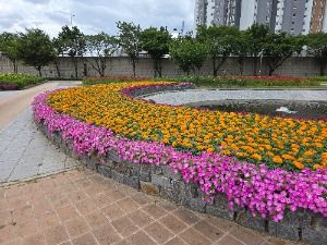 영천_영천생태지구공원 (1)