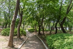서울_양재근린공원 (5)