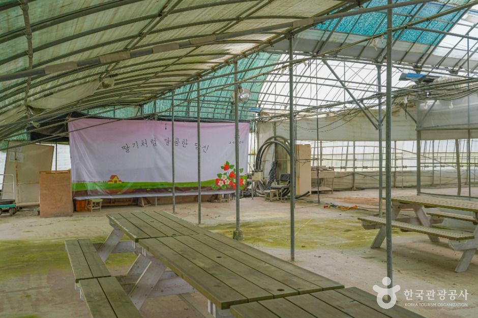 thumbnail-보성싱싱농원-4