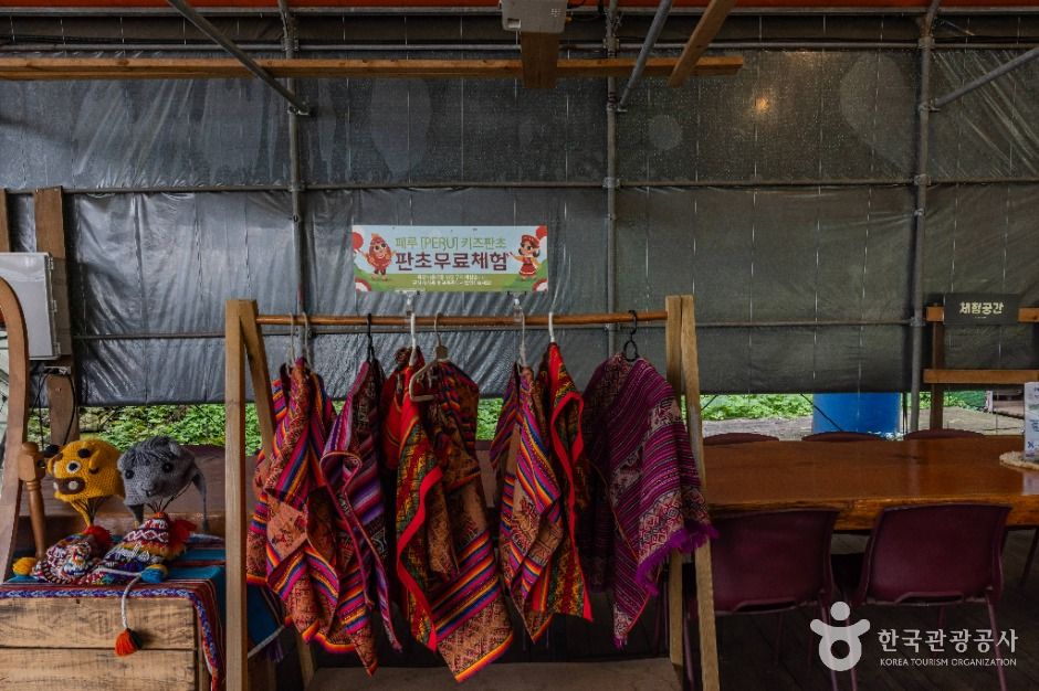 도치돌 알파카목장