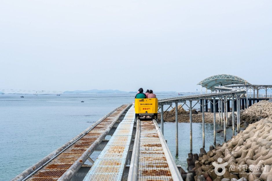 대천해수욕장 스카이바이크