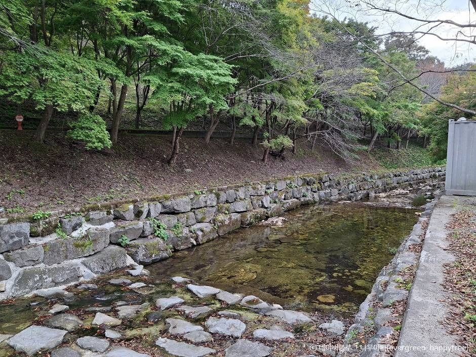 한천자연휴양림