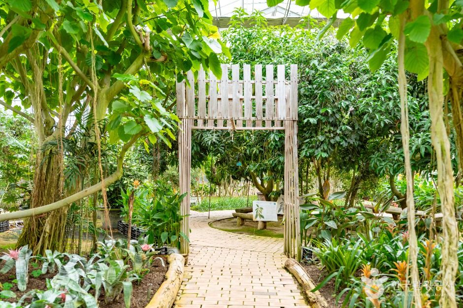 아산_세계꽃식물원 (6)