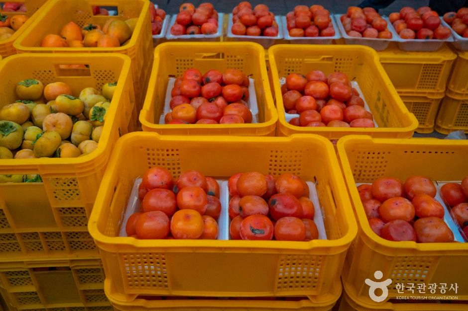 청도_청도장(4, 9일) (6)