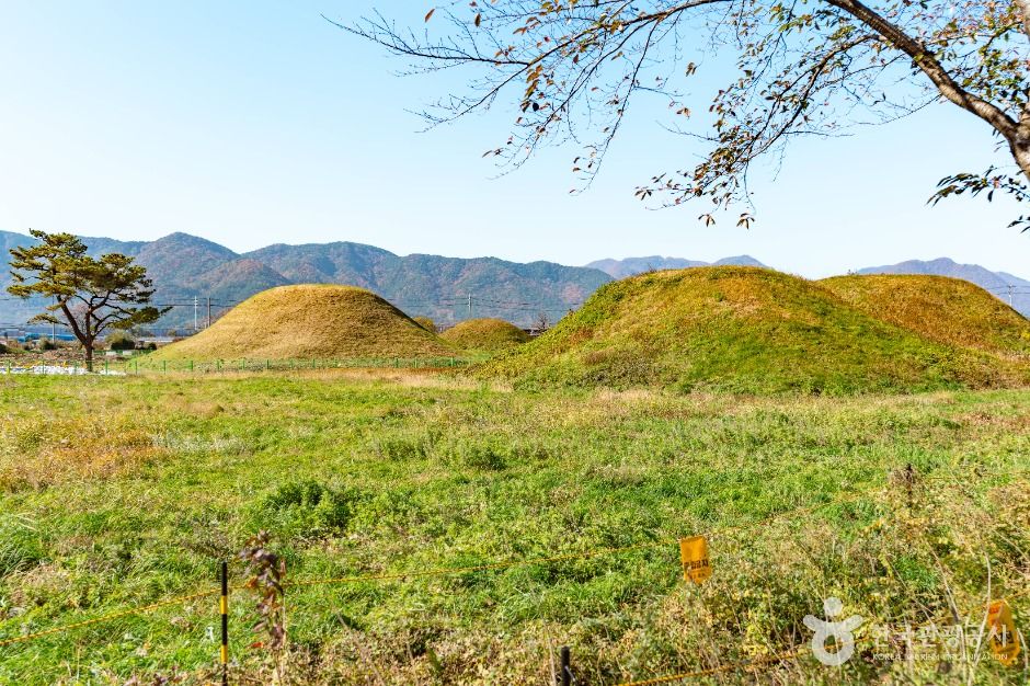 경주 금척리 고분군