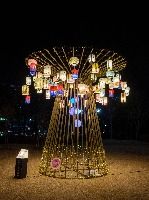 겨울밤 수놓는 빛의 예술, 수성빛예술제 같이 걸어볼래? 2025 수성빛예술제 5