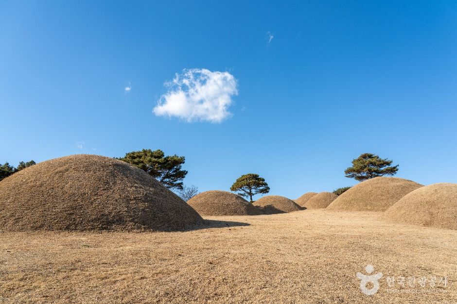 합천 옥전 고분군